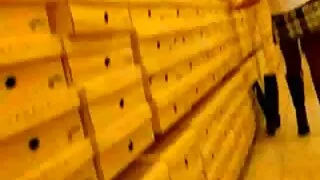 அதிர்ச்சியூட்டும் பேப் சூசி காலா முதல் தேதியில் உணர்ச்சிவசப்பட்ட உடலுறவு கொள்கிறார்