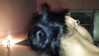 அதிர்ச்சி தரும் பொன்னிற ஹேர்டு செக்ஸ் ஒரு அதிர்ஷ்டம் நண்பர் ஒரு அற்புதமான titjob வழங்குகிறது