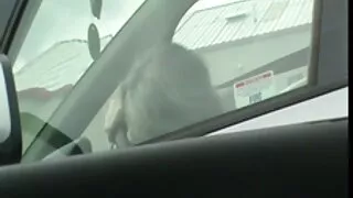 கண்ணாடிகளுடன் நீண்ட நேராக ஹேர்டு அழகி ஒரு சேவலை உறிஞ்சுவதற்கு கீழே மண்டியிடுகிறது